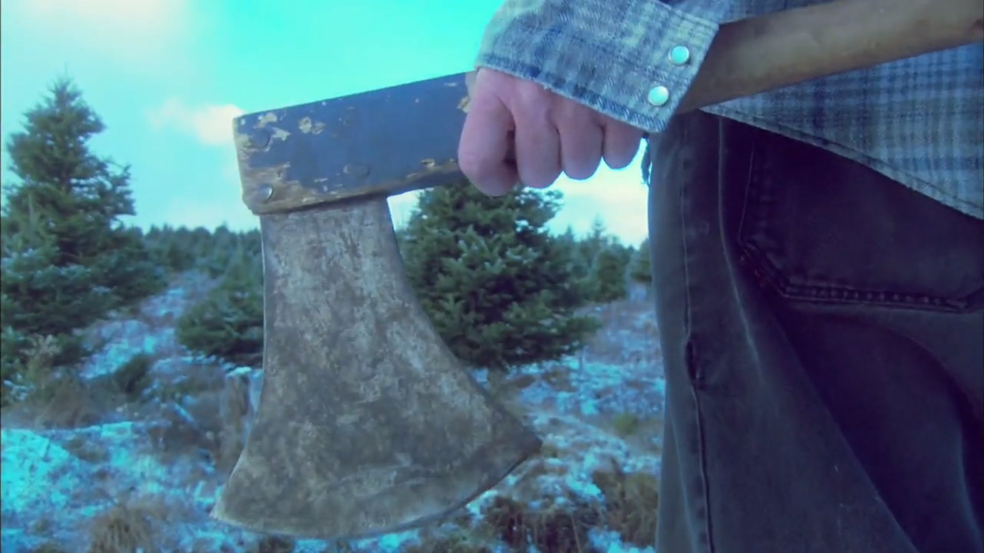 Treevenge Background