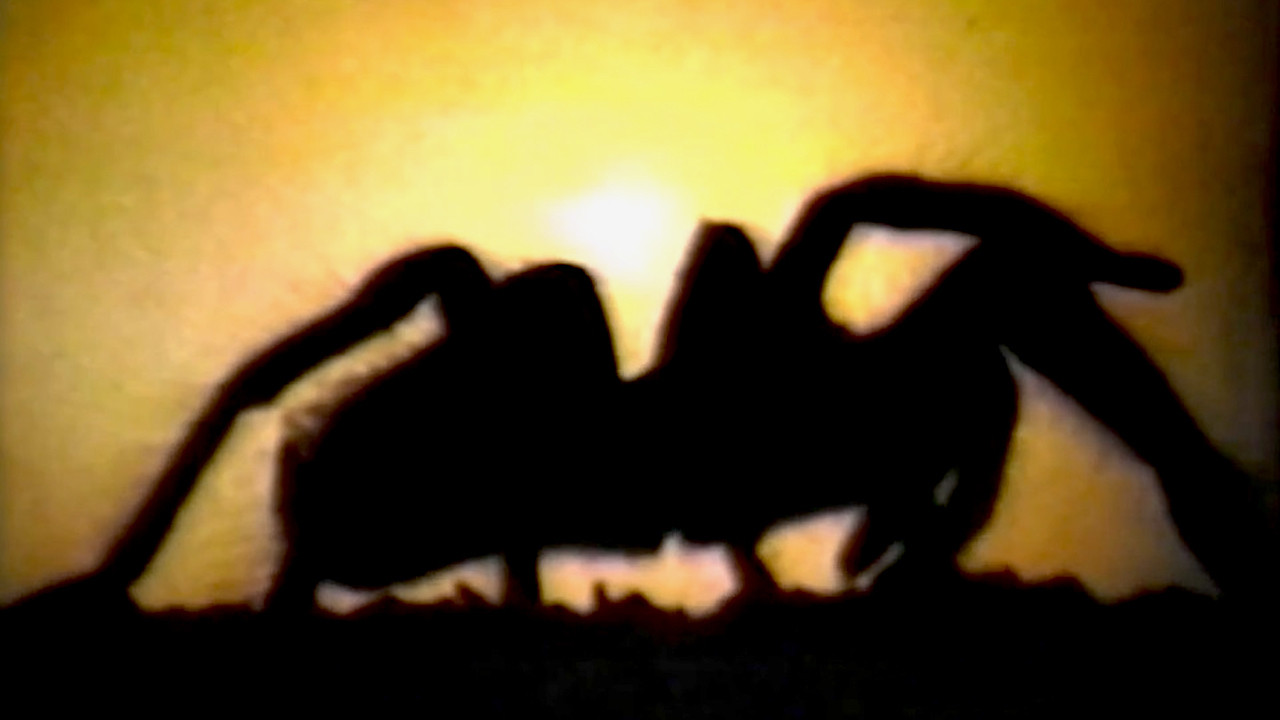 Tarantella Background