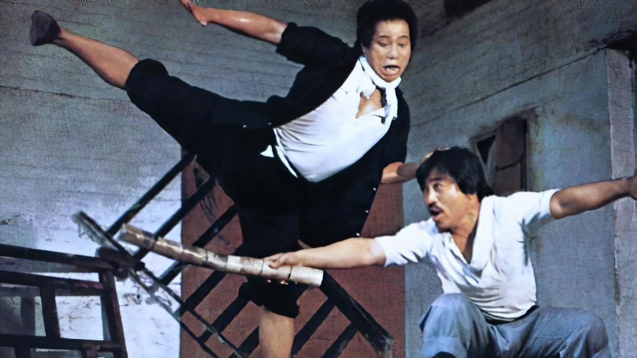 My Kung Fu 12 Kicks Background
