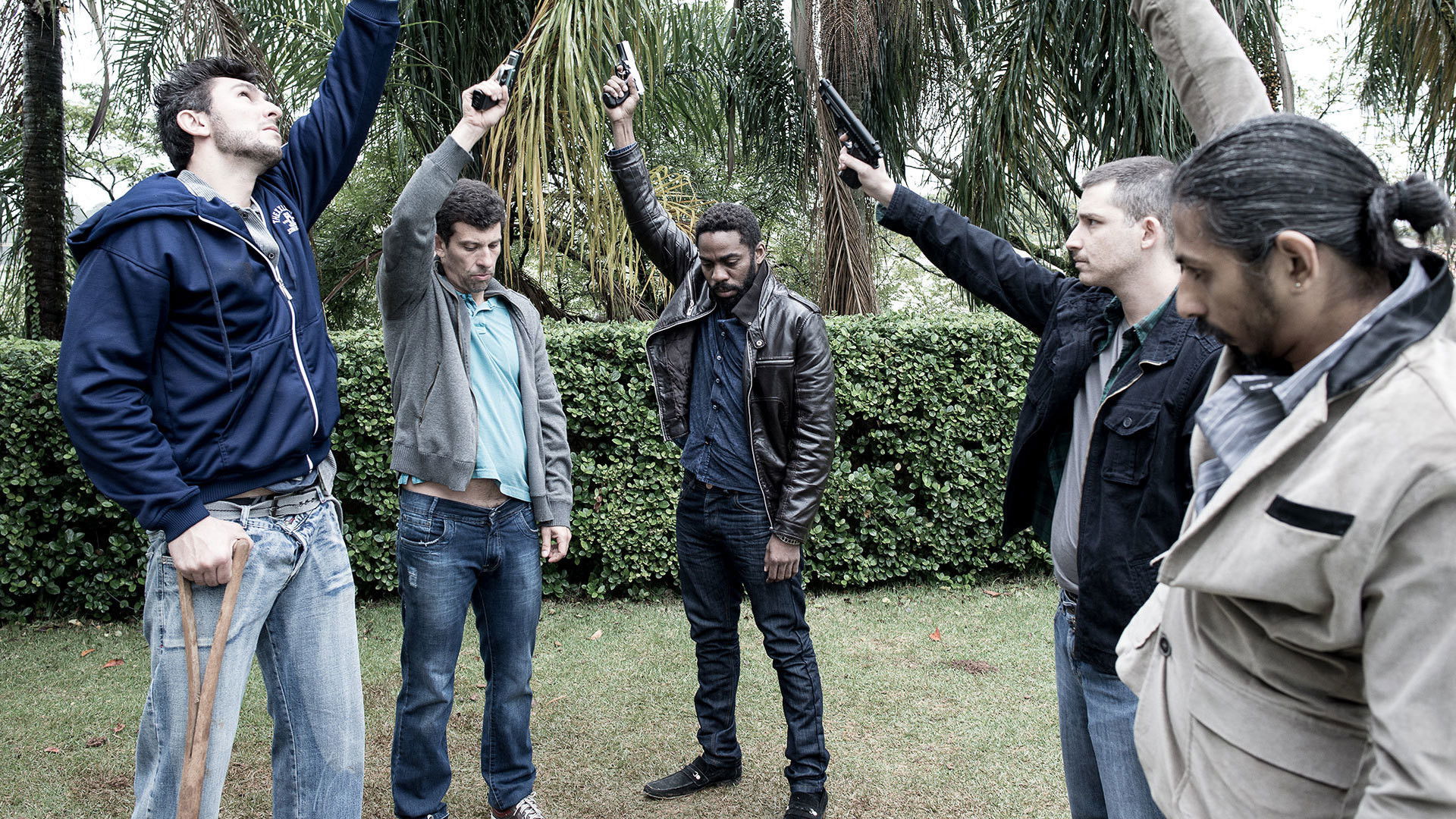 In Dog's Words Background