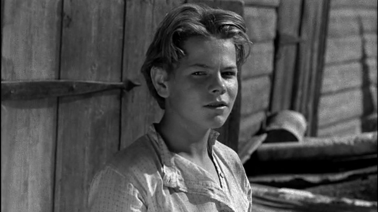 My Apprenticeship Background