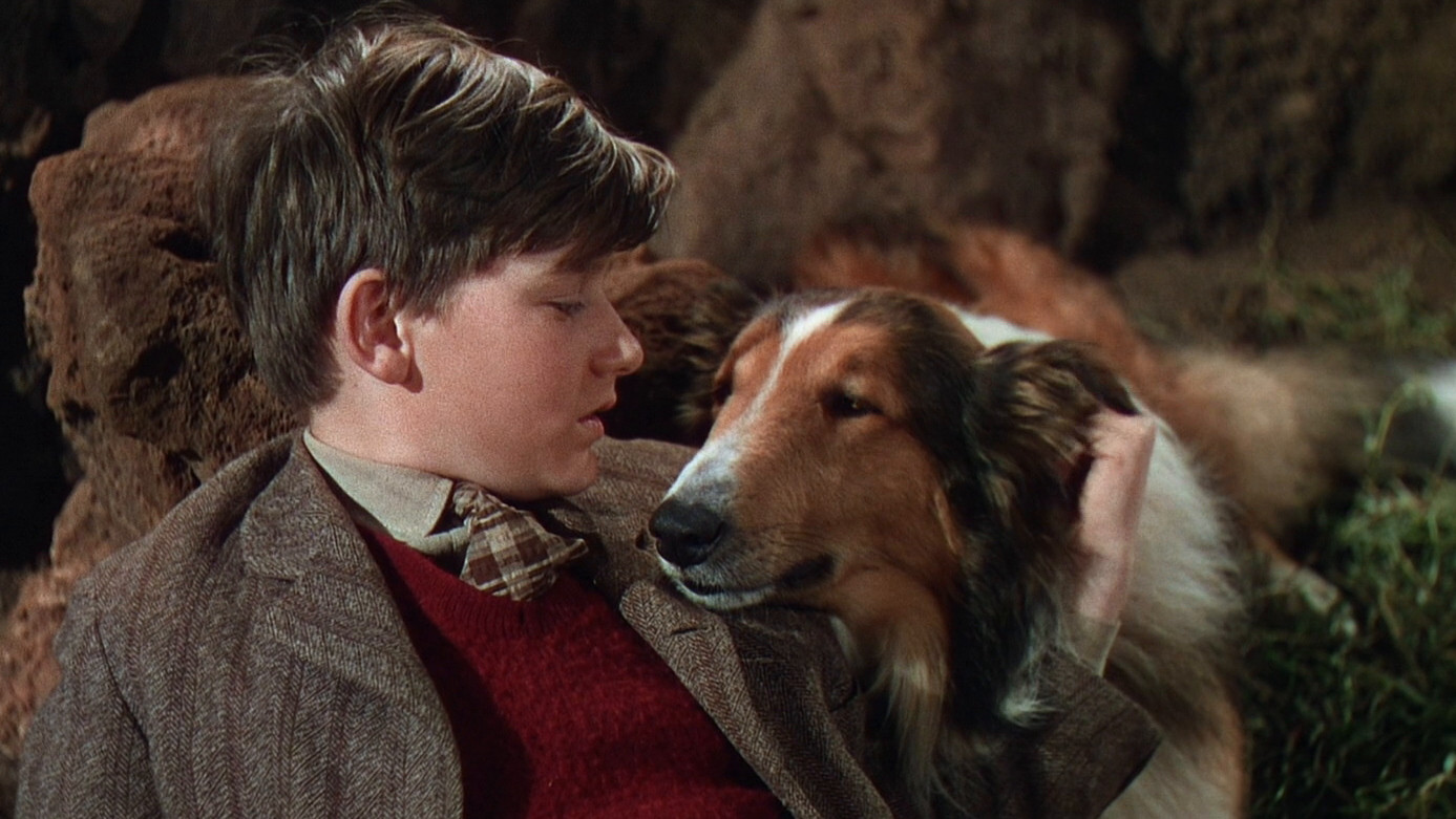 Lassie Come Home Background