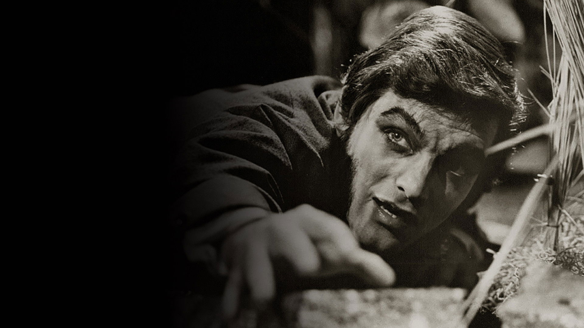 Dark Shadows: The Haunting of Collinwood Background