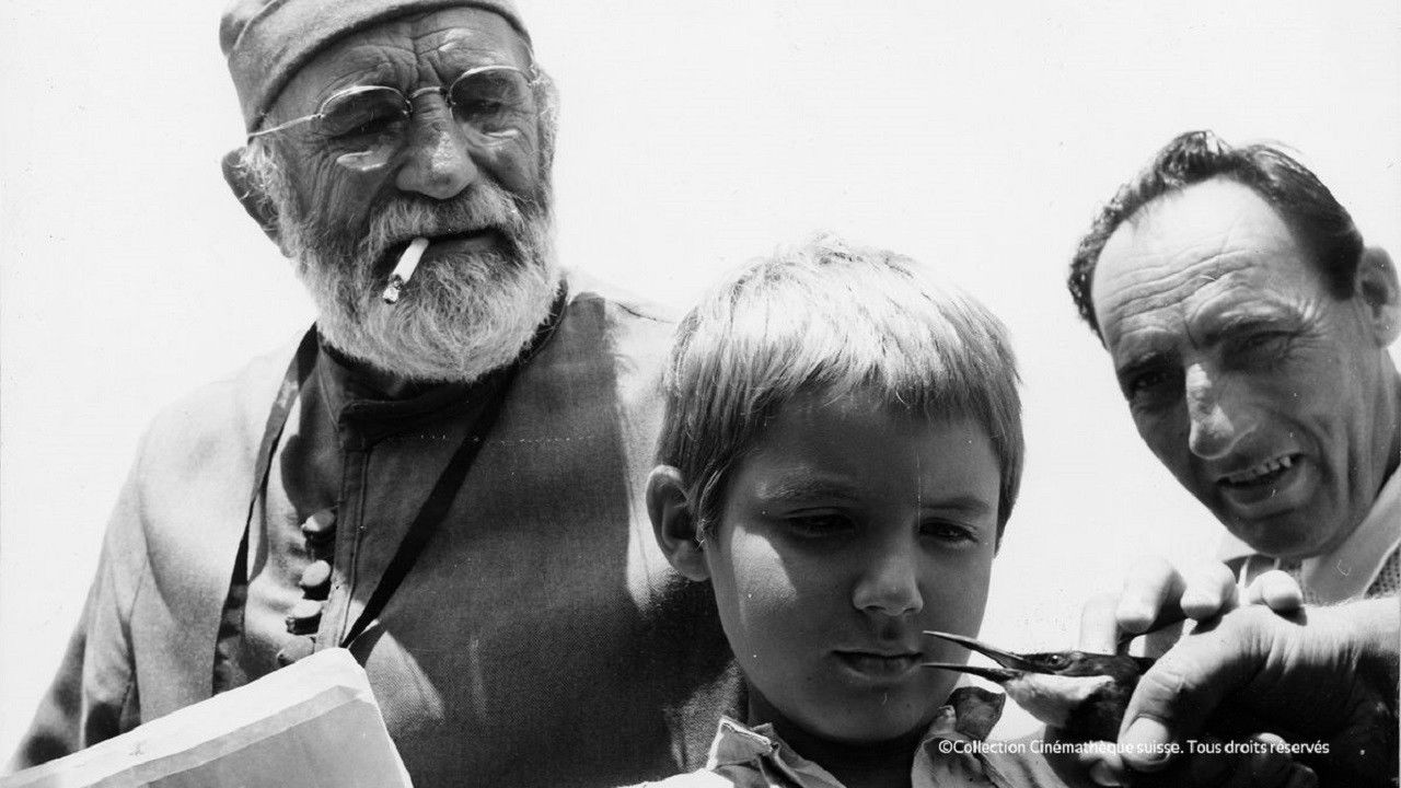 The Steppe Background